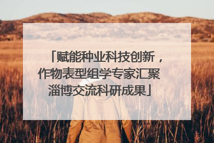 赋能种业科技创新，作物表型组学专家汇聚淄博交流科研成果