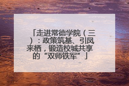 走进常德学院（三）：政策筑基、引凤来栖，锻造校城共享的“双师铁军”