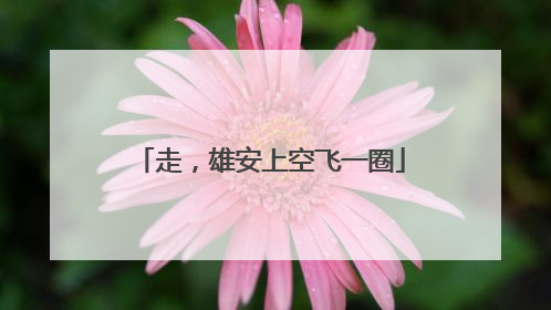 走，雄安上空飞一圈