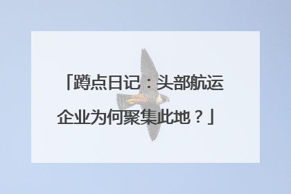 蹲点日记：头部航运企业为何聚集此地？