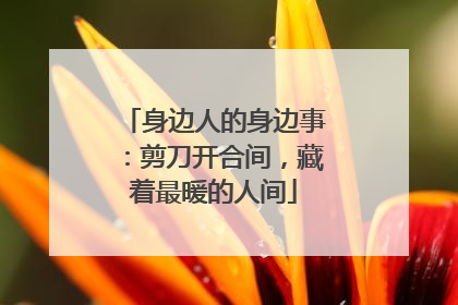 身边人的身边事：剪刀开合间，藏着最暖的人间