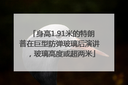 身高1.91米的特朗普在巨型防弹玻璃后演讲，玻璃高度或超两米