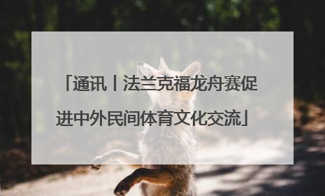 通讯丨法兰克福龙舟赛促进中外民间体育文化交流