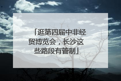 逛第四届中非经贸博览会，长沙这些路段有管制