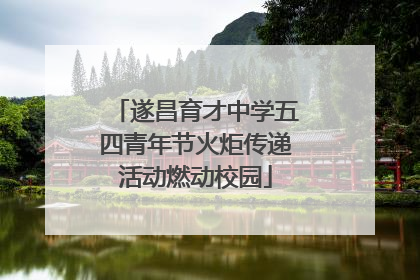 遂昌育才中学五四青年节火炬传递活动燃动校园