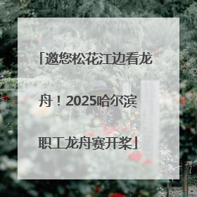 邀您松花江边看龙舟！2025哈尔滨职工龙舟赛开桨