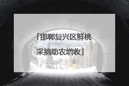 邯郸复兴区鲜桃采摘助农增收