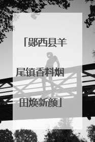 郧西县羊尾镇香料烟田焕新颜