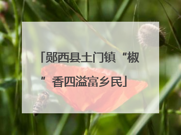郧西县土门镇“椒”香四溢富乡民