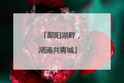 鄱阳湖畔，潮涌共青城