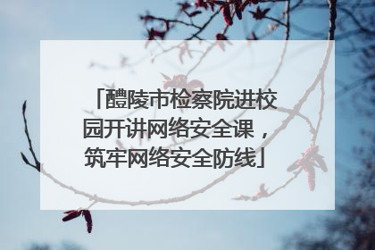 醴陵市检察院进校园开讲网络安全课，筑牢网络安全防线