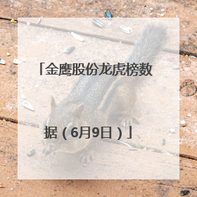 金鹰股份龙虎榜数据（6月9日）