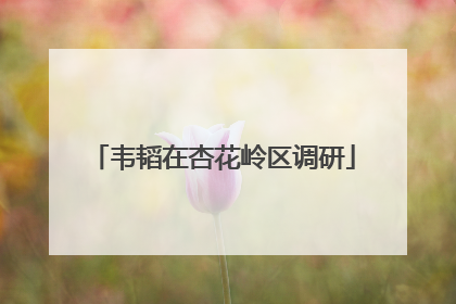 韦韬在杏花岭区调研