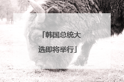 韩国总统大选即将举行