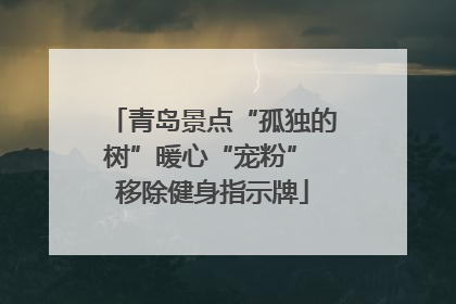 青岛景点“孤独的树”暖心“宠粉” 移除健身指示牌