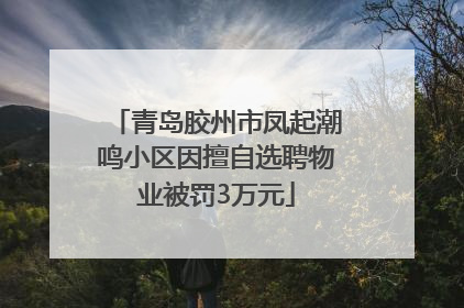 青岛胶州市凤起潮鸣小区因擅自选聘物业被罚3万元