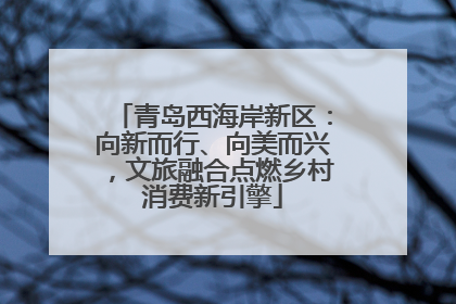 青岛西海岸新区：向新而行、向美而兴，文旅融合点燃乡村消费新引擎