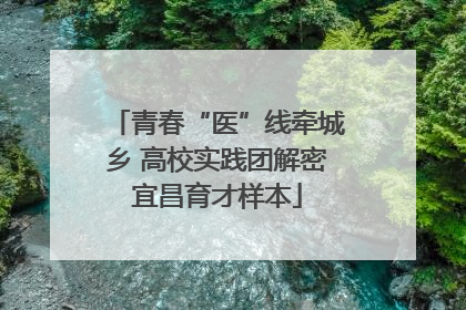 青春“医”线牵城乡 高校实践团解密宜昌育才样本