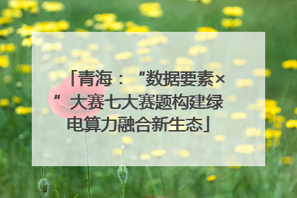 青海：“数据要素×”大赛七大赛题构建绿电算力融合新生态