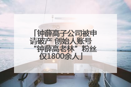 钟薛高子公司被申请破产 创始人账号“钟薛高老林”粉丝仅1800余人