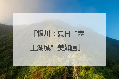 银川：夏日“塞上湖城”美如画