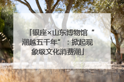 银座×山东博物馆“潮越五千年”：掀起现象级文化消费潮