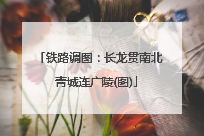 铁路调图：长龙贯南北 青城连广陵(图)