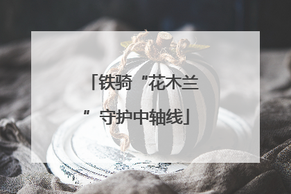 铁骑“花木兰”守护中轴线