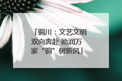 铜川：文艺文明双向奔赴 德润万家“铜”树新风