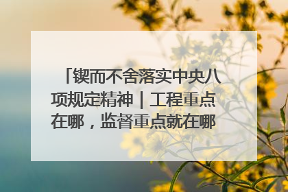 锲而不舍落实中央八项规定精神｜工程重点在哪，监督重点就在哪——广西深化政治监督护航平陆运河建设