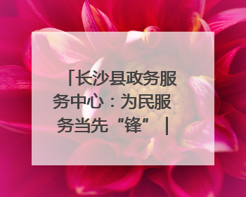 长沙县政务服务中心：为民服务当先“锋”｜走进新时代“雷锋传人 长沙榜样”