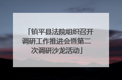 镇平县法院组织召开调研工作推进会暨第二次调研沙龙活动