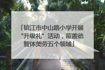 镇江市中山路小学开展“升级礼”活动，覆盖德智体美劳五个领域