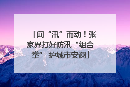 闻“汛”而动！张家界打好防汛“组合拳” 护城市安澜