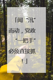 闻“汛”而动，党政“一把手”必须直接抓！