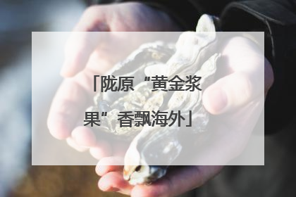 陇原“黄金浆果”香飘海外