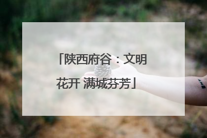 陕西府谷：文明花开 满城芬芳