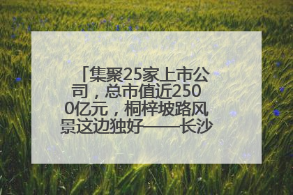 集聚25家上市公司，总市值近2500亿元，桐梓坡路风景这边独好——长沙有条“上市路”