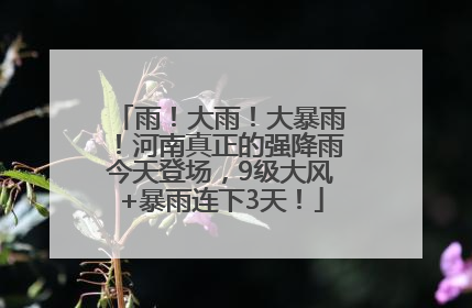 雨！大雨！大暴雨！河南真正的强降雨今天登场，9级大风+暴雨连下3天！