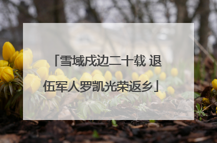 雪域戍边二十载 退伍军人罗凯光荣返乡