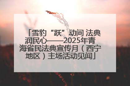 雪豹“跃”动间 法典润民心——2025年青海省民法典宣传月（西宁地区）主场活动见闻