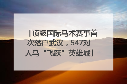 顶级国际马术赛事首次落户武汉，547对人马“飞跃”英雄城