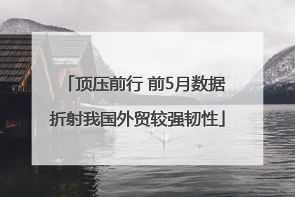 顶压前行 前5月数据折射我国外贸较强韧性