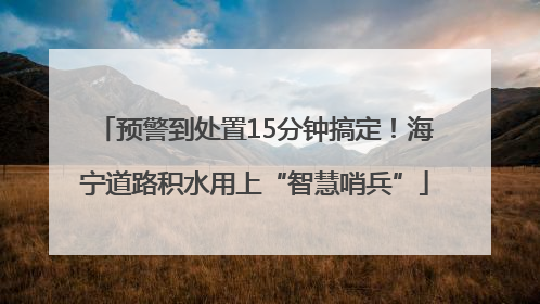 预警到处置15分钟搞定！海宁道路积水用上“智慧哨兵”