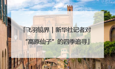 飞羽镜界｜新华社记者对“高原仙子”的四季追寻