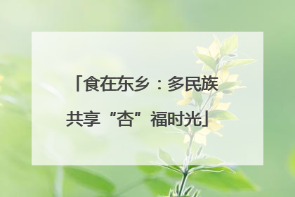 食在东乡：多民族共享“杏”福时光