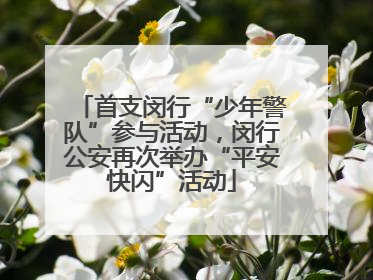 首支闵行“少年警队”参与活动，闵行公安再次举办“平安快闪”活动