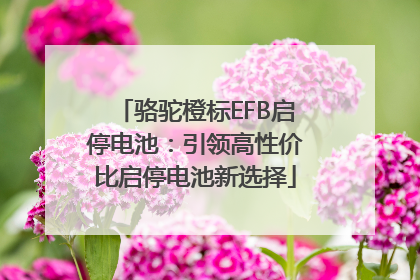 骆驼橙标EFB启停电池：引领高性价比启停电池新选择