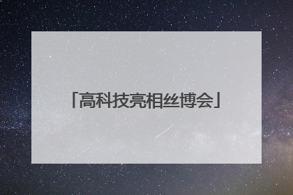 高科技亮相丝博会