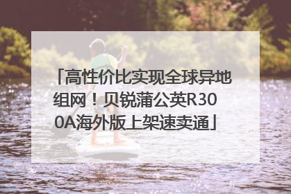 高性价比实现全球异地组网！贝锐蒲公英R300A海外版上架速卖通